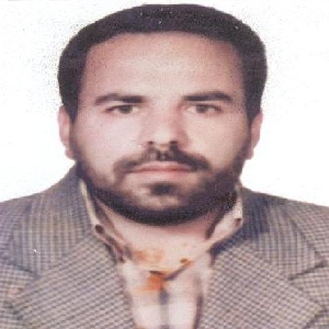 رضا علی‌ مددی‌